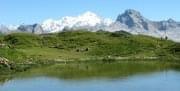 Photo Suisse