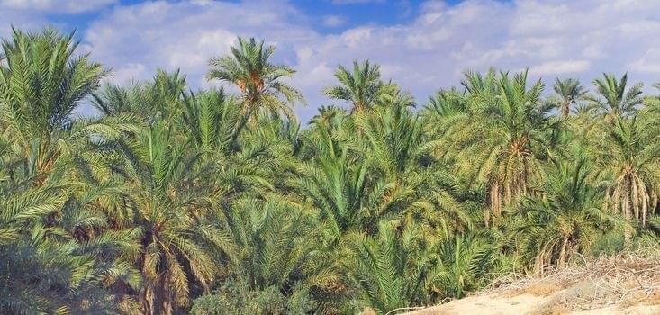 Tunisie