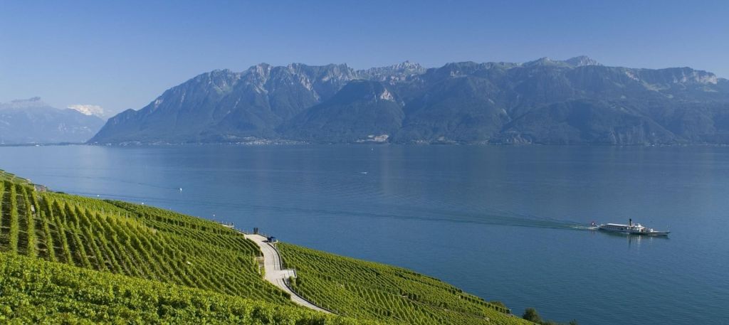 Vue sur le Leman