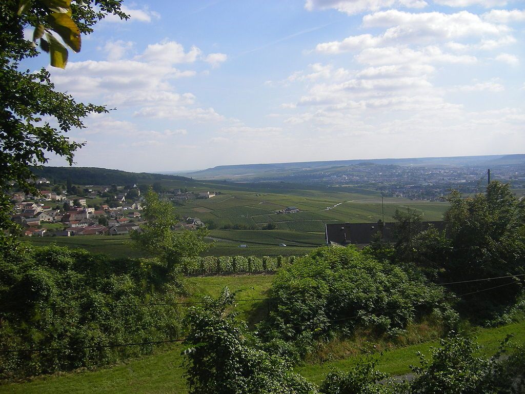 Montagne de Reims