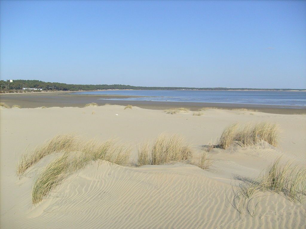 Pointe de la Coubre