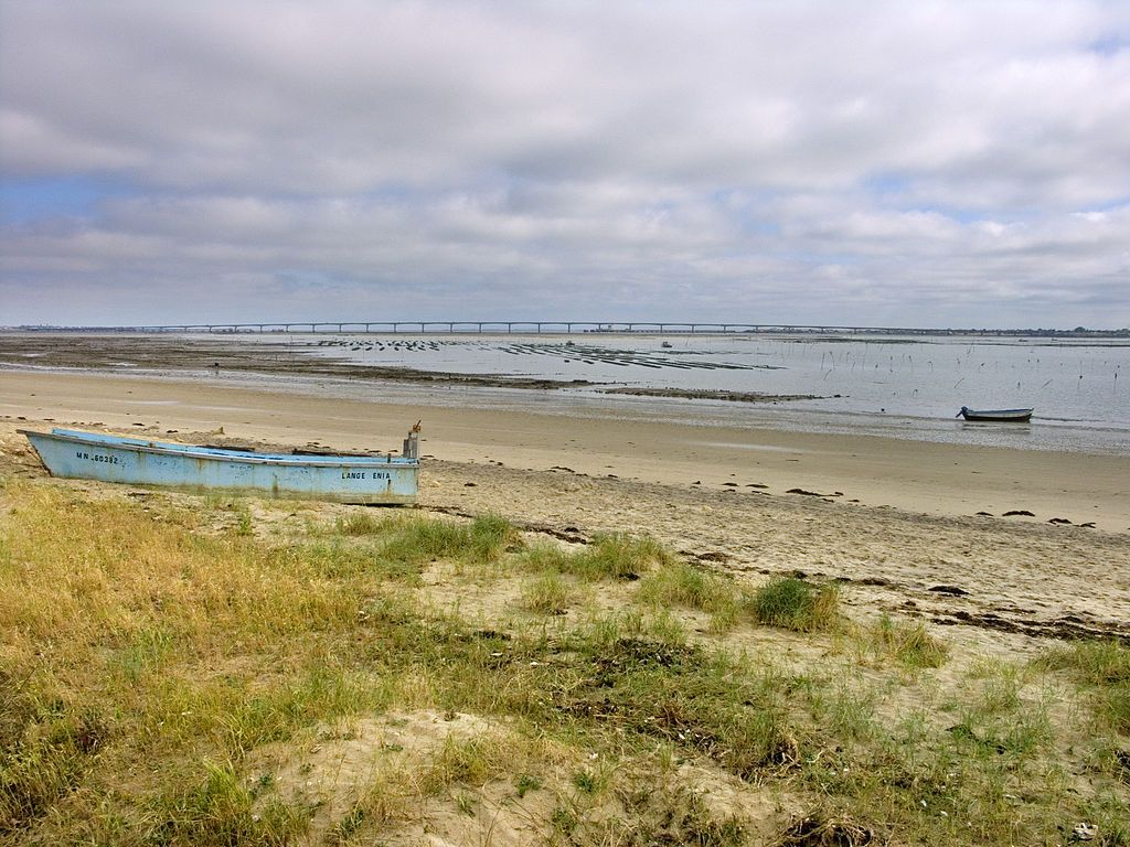 Paysage du sud de lîle dOléron