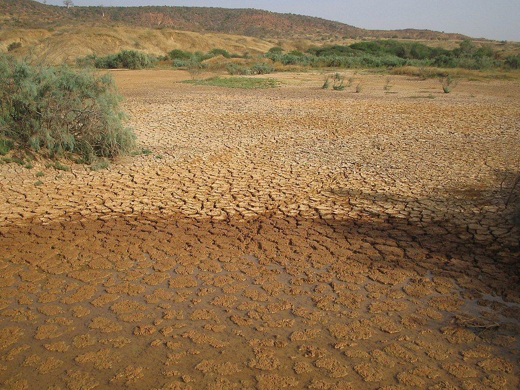 La Réserve Naturelle de Popenguine Sénégal