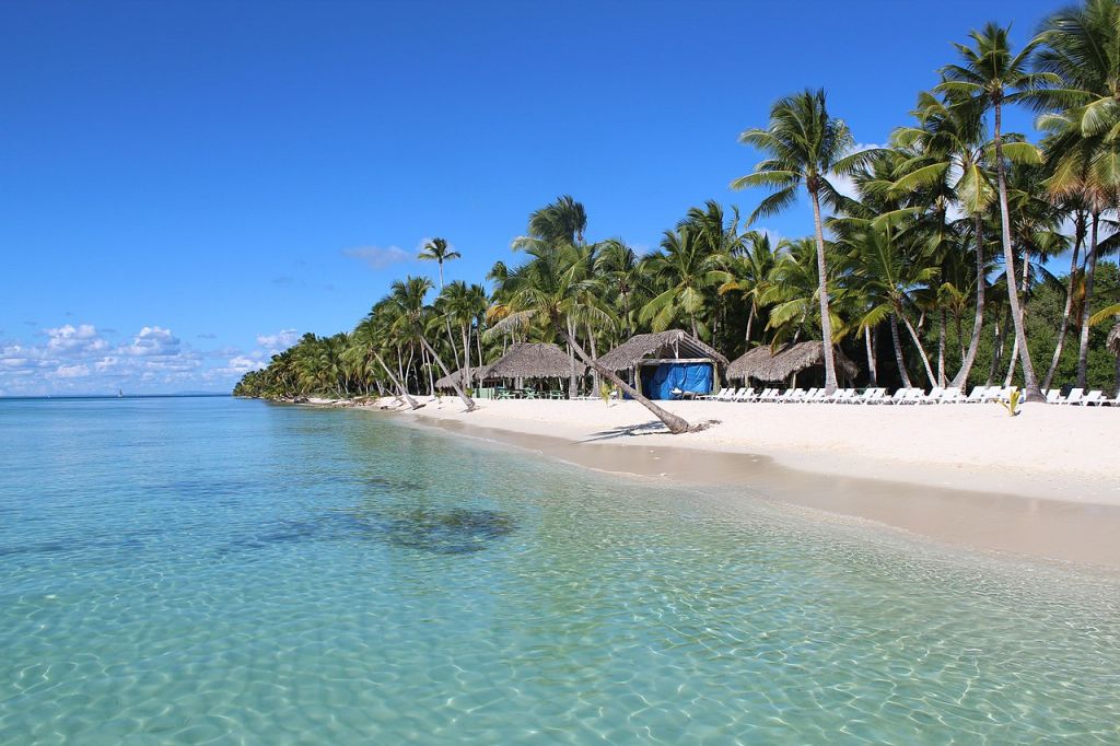 Saona Island the Dominican Republic