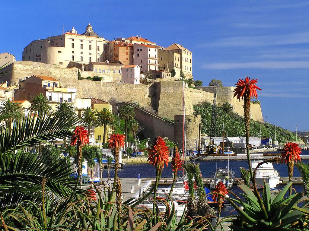 Civitas Calvi Semper Fidelis