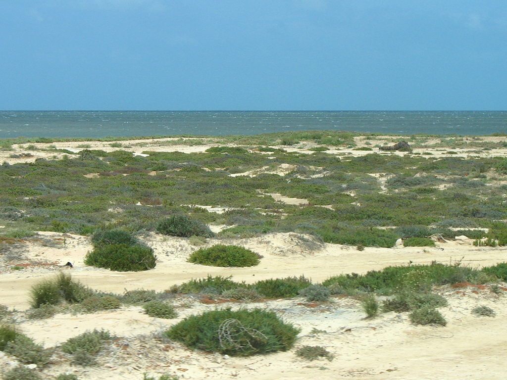 Côte méridionale de lîle