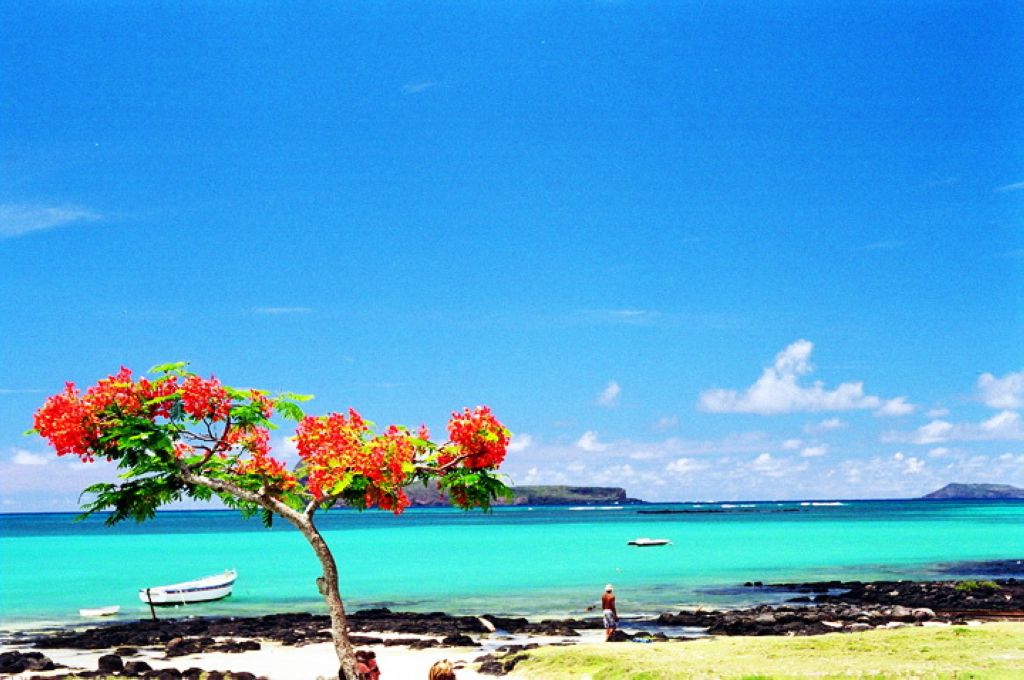 Plage de lîle Maurice