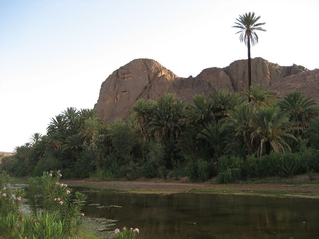 Fint Oasis near Ouarzazate Morocco  Maroc