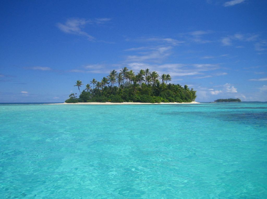 Tauna aux Îles Gambier en Polynésie française 