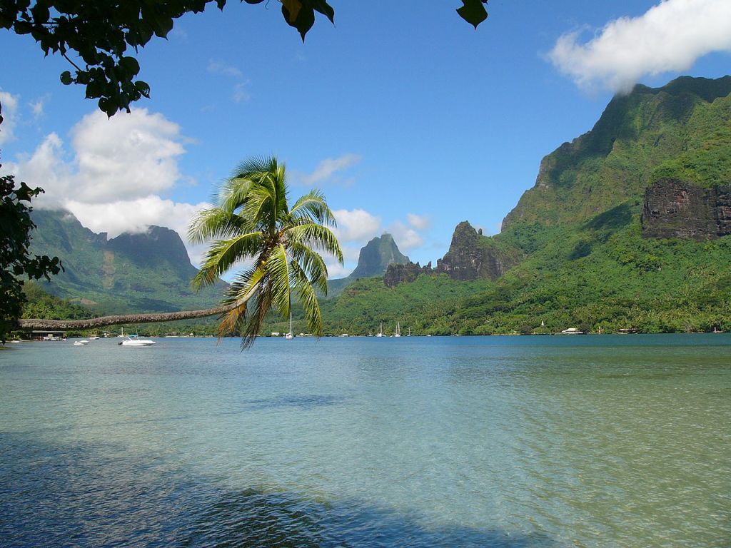 Vue de la baie de Cook sur Moorea
