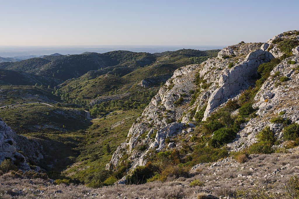 Paysage dans le Parc naturel régional des Alpilles SaintRémydeProvence BouchesduRhône France