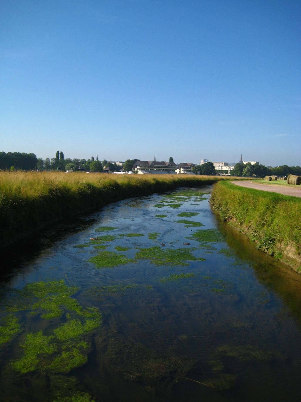 La Noë bras de lOrne à travers la Prairie de Caen