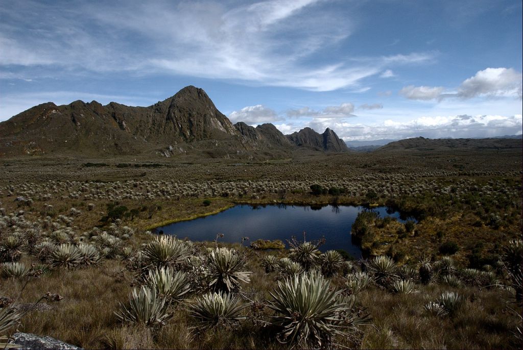 Páramo de Sumapaz Colombia