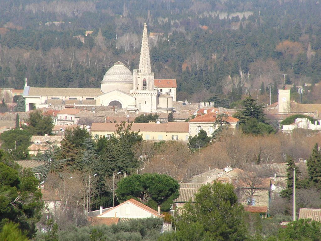 SaintRémydeProvence vue de Glanum