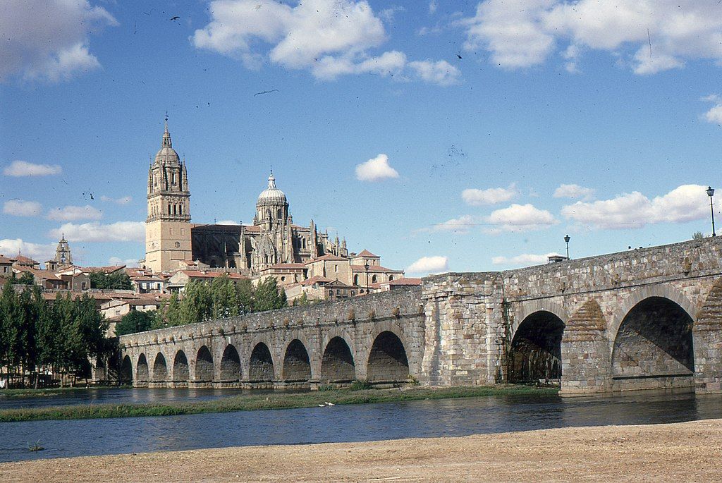 Pont romain et cathédrales vieille et nouvelle de Salamanque