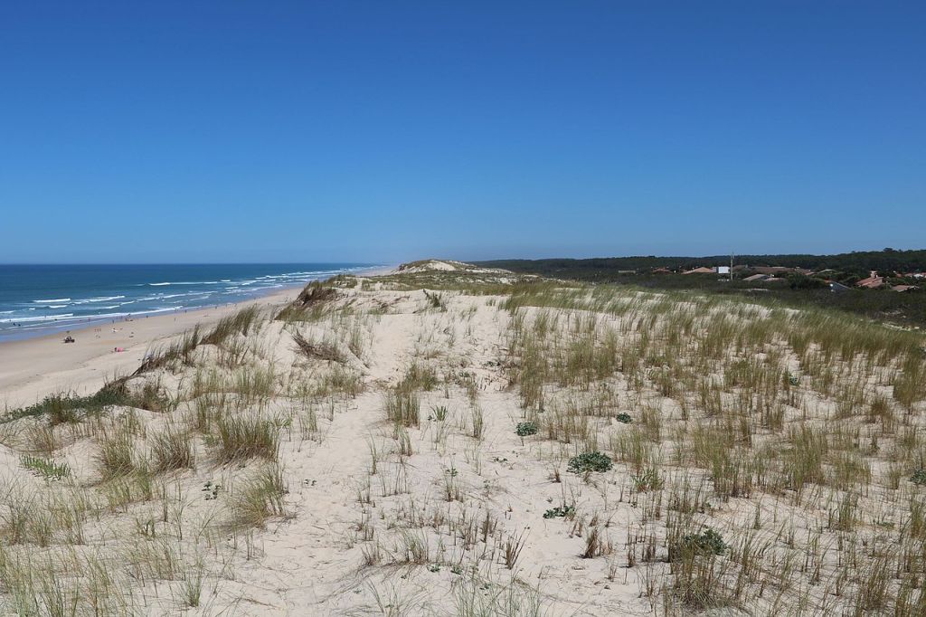 La Côte dArgent le cordon dunaire et la forêt des Landes à HourtinPlage
