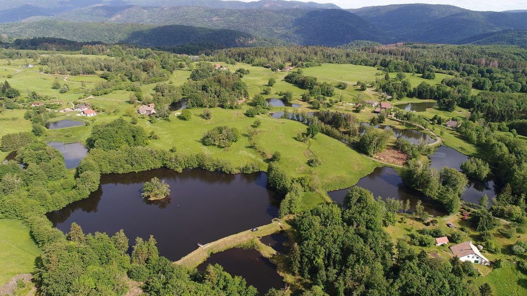 La région des Mille étangs en HauteSaône