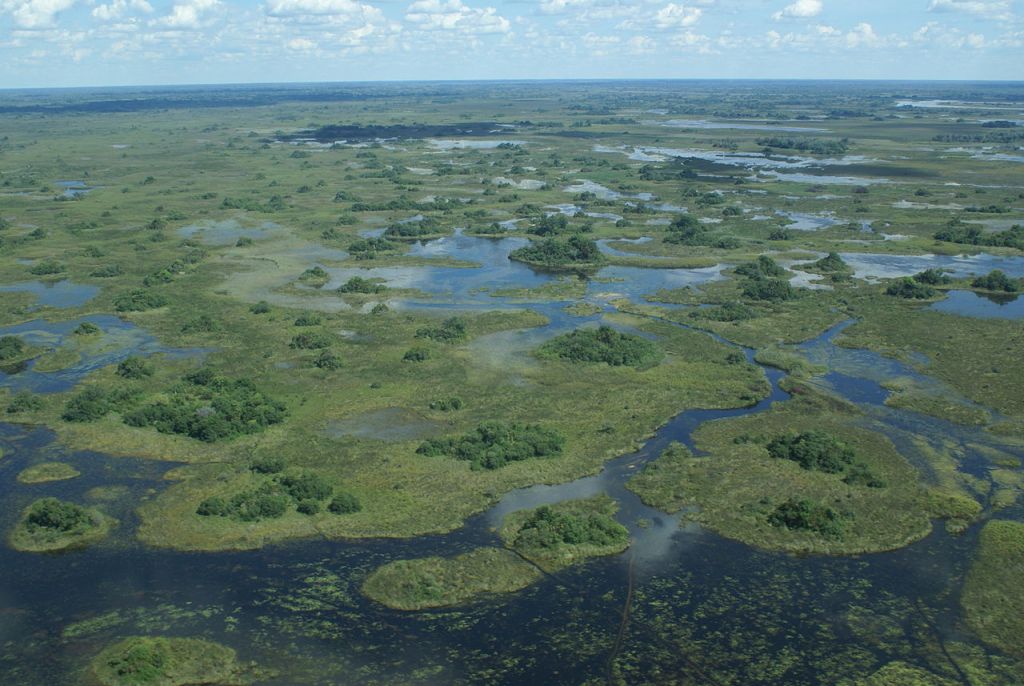 Vue aérienne du delta de lOkavango