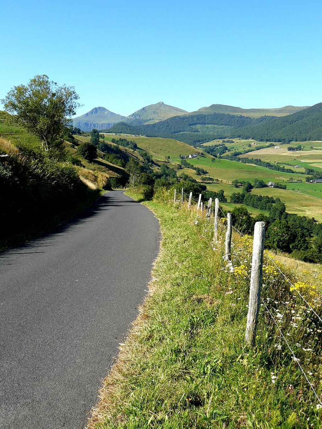 Paysage du Cantal au nord du puy Mary