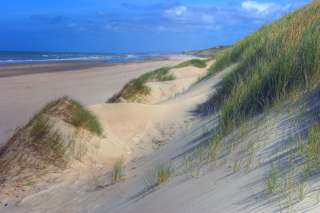 Dunes au sud du TouquetParisPlage