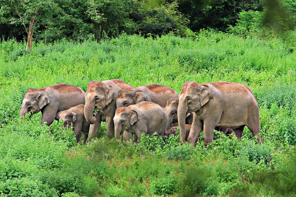 Kui Buri National Park 