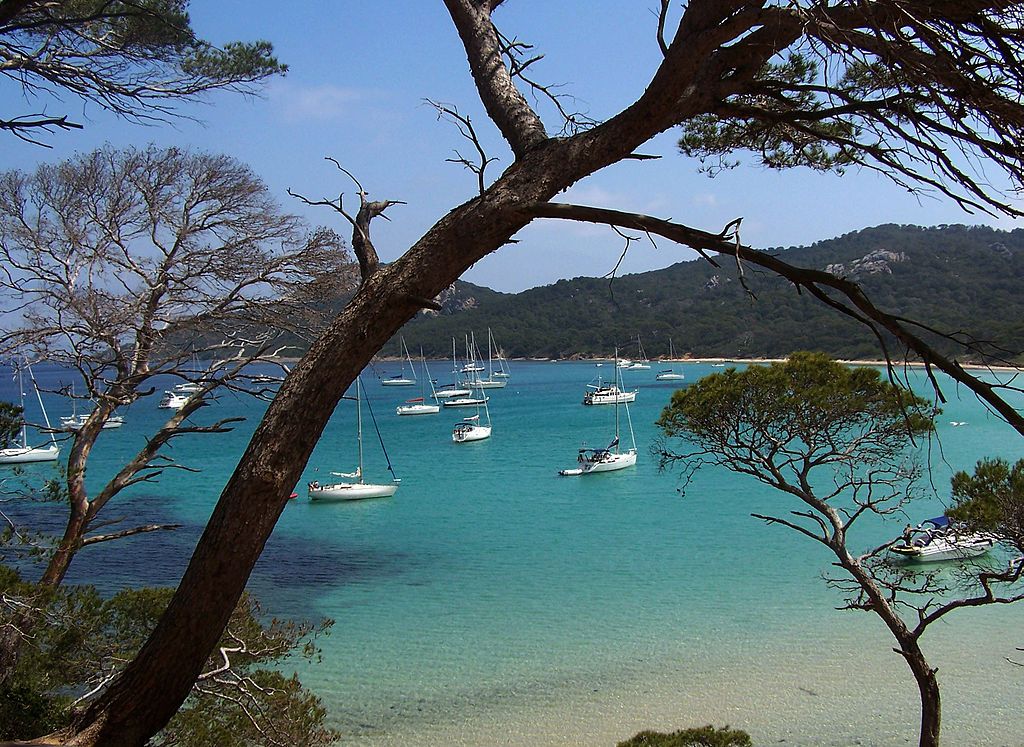 Plage de la Courtade à Porquerolles