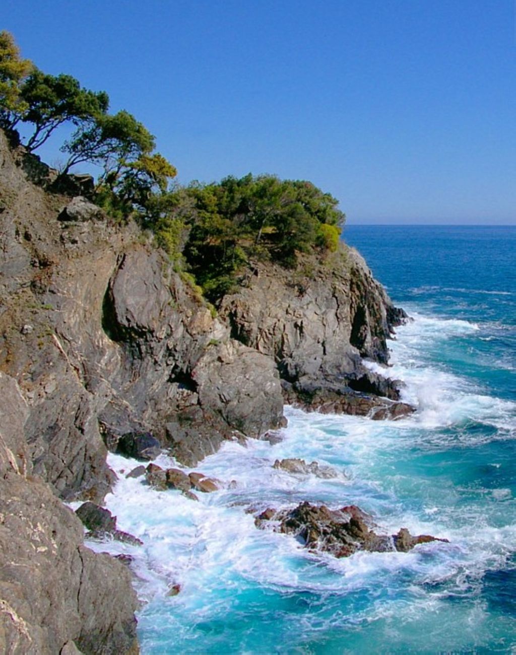 Cinque Terre Monterosso