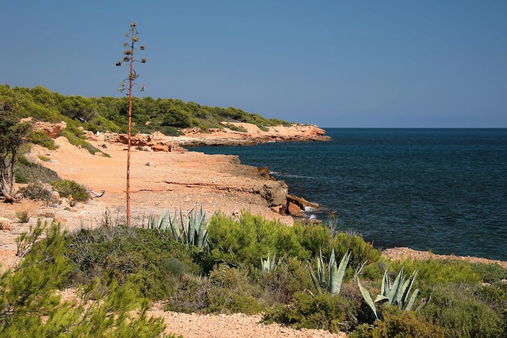 Costa Daurada  panoramio