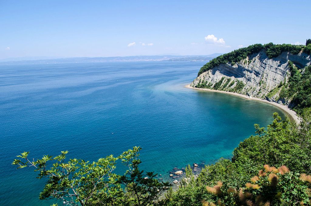 Strunjan bay