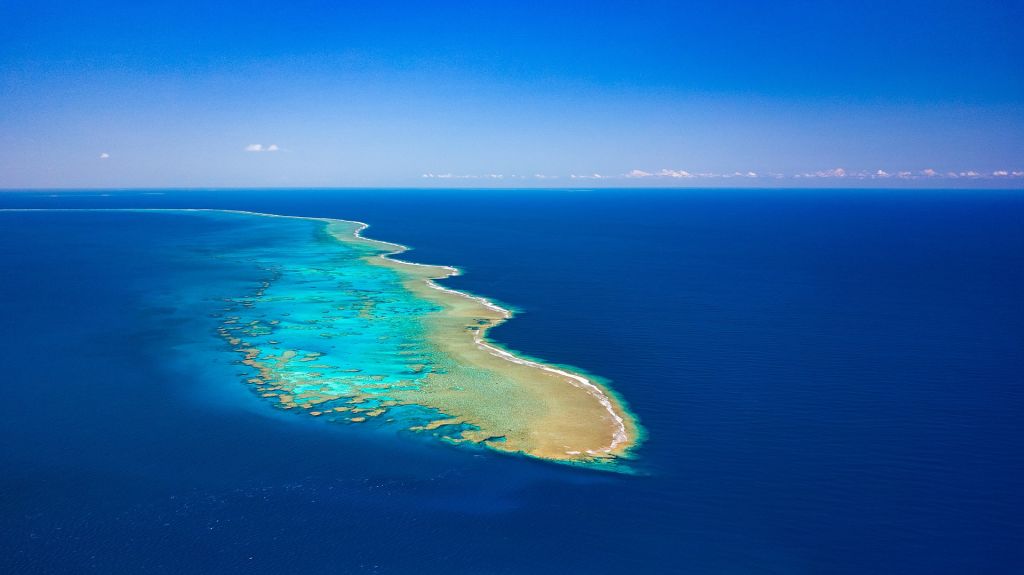 Récif corallien de NouvelleCalédonie