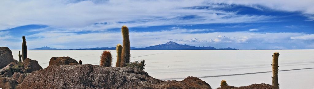 Isla del Pescado Bolivia Salar de Uyuni