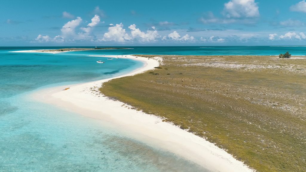 plages de sable blanc de larchipel de los roques dépendances fédérales