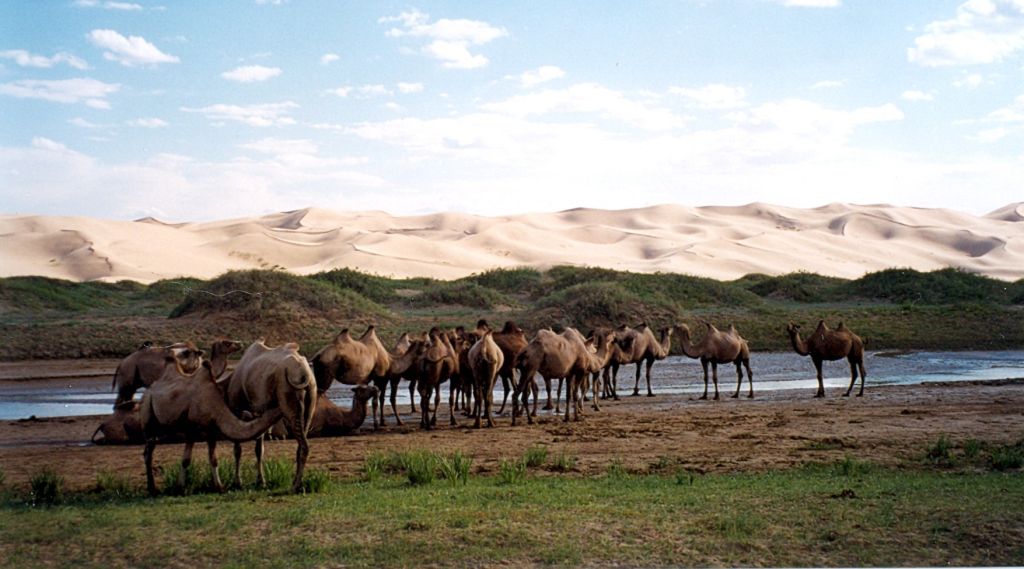 Le désert de Gobi parc national Gobi Gurvansaikhan