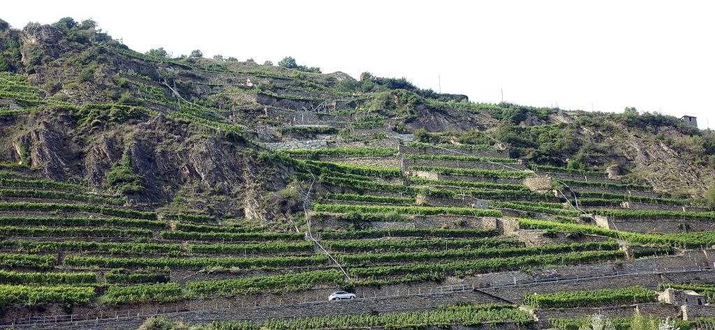 Vignes canton du Valais Suisse