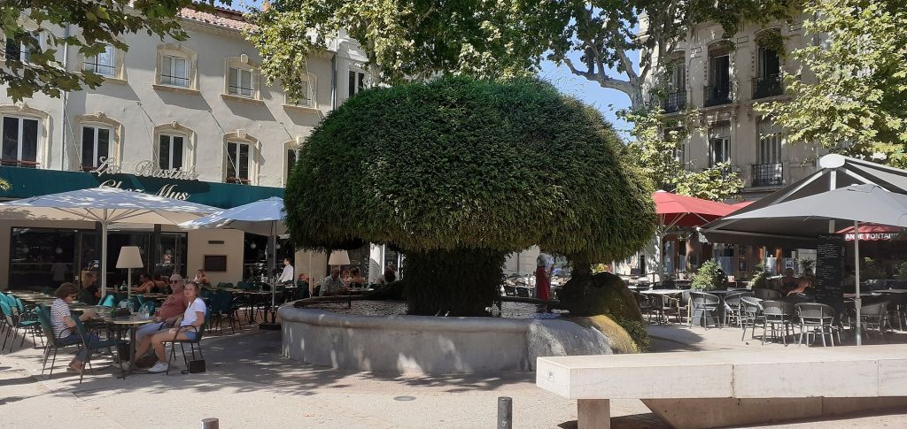 La Grande fontaine ou Fontaine moussue