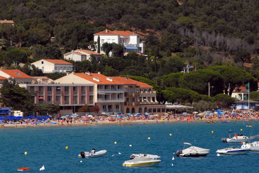 Cavaliere Le Lavandou