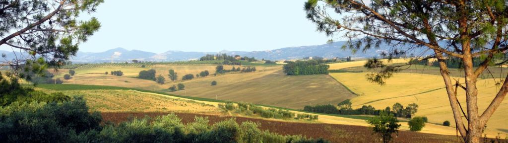 Paysage typique dOmbrie