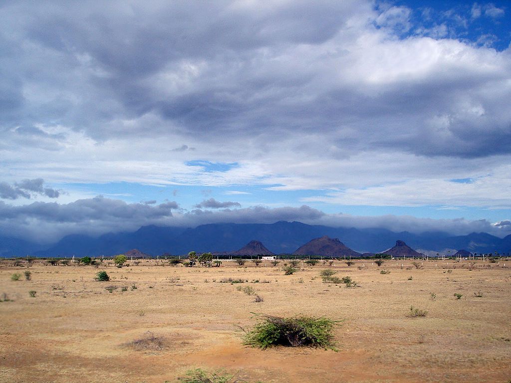 Paysage dété dans la région de Tirunelveli