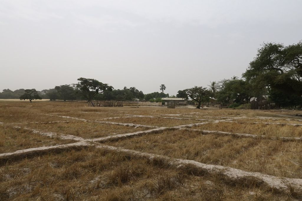 Paysage de rizière en saison sèche sur lile dOurong