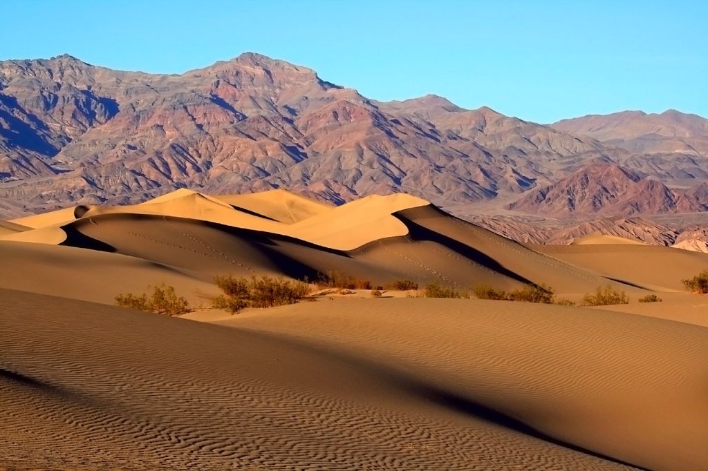Les Mesquite Dunes Litt les dunes à Prosopis Vallée de la mort Californie