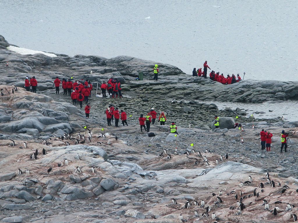 Tourism in Antarctica 2009  Cuverville Island  Peninsula Antarctica