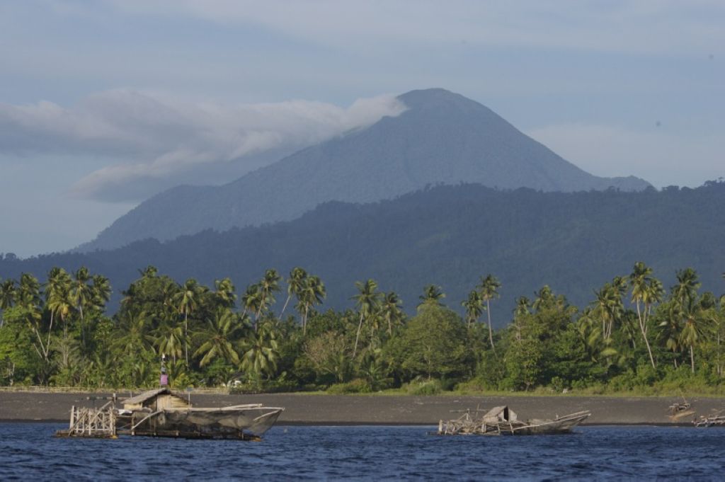 Tangkoko National Park North Sulawesi Indonesia