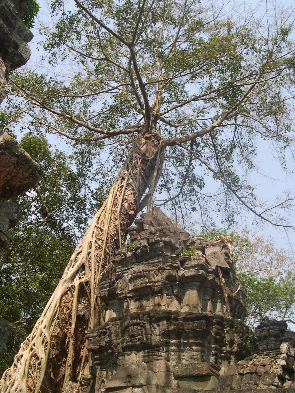 Angkor