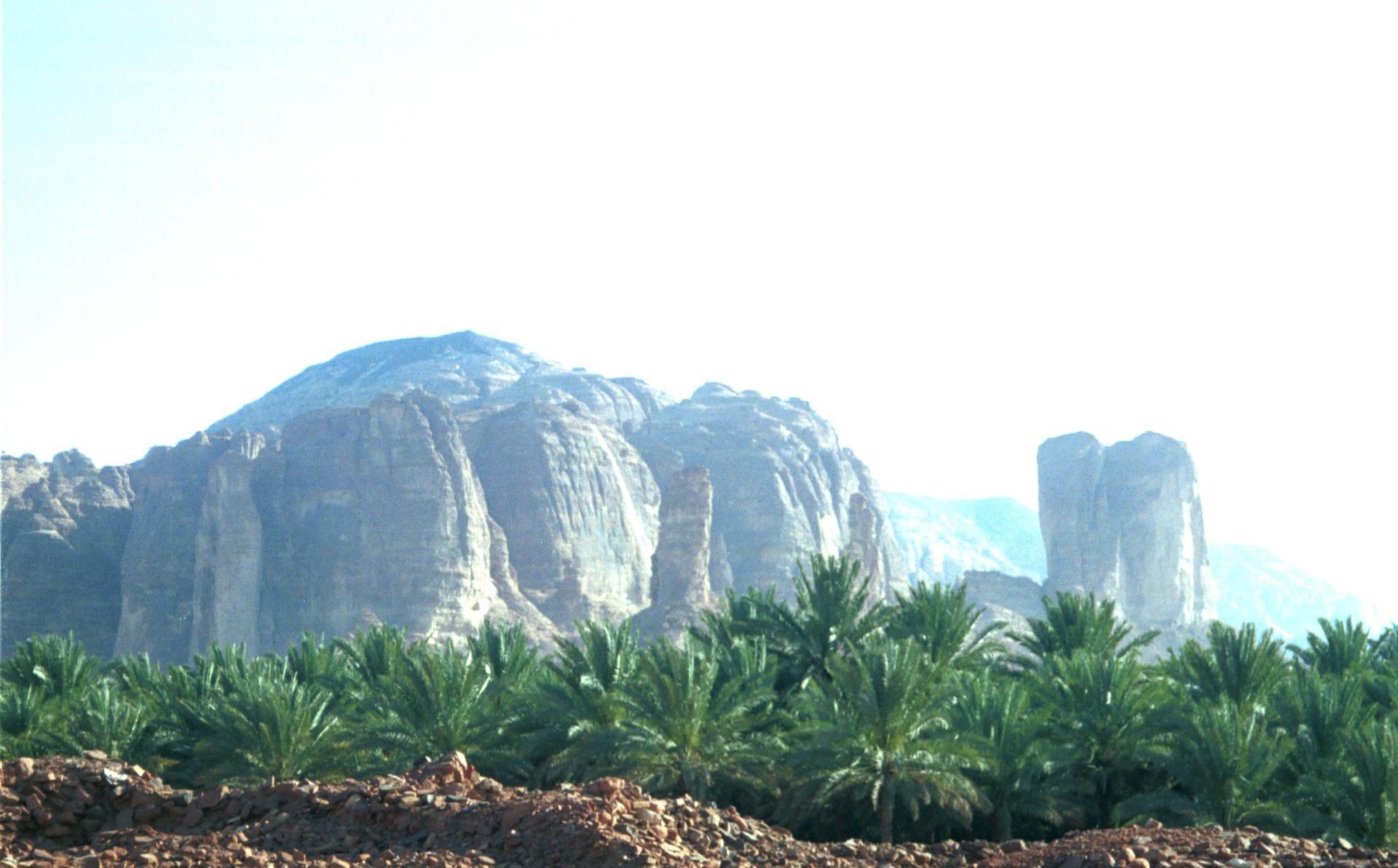 ArabieSaoudite