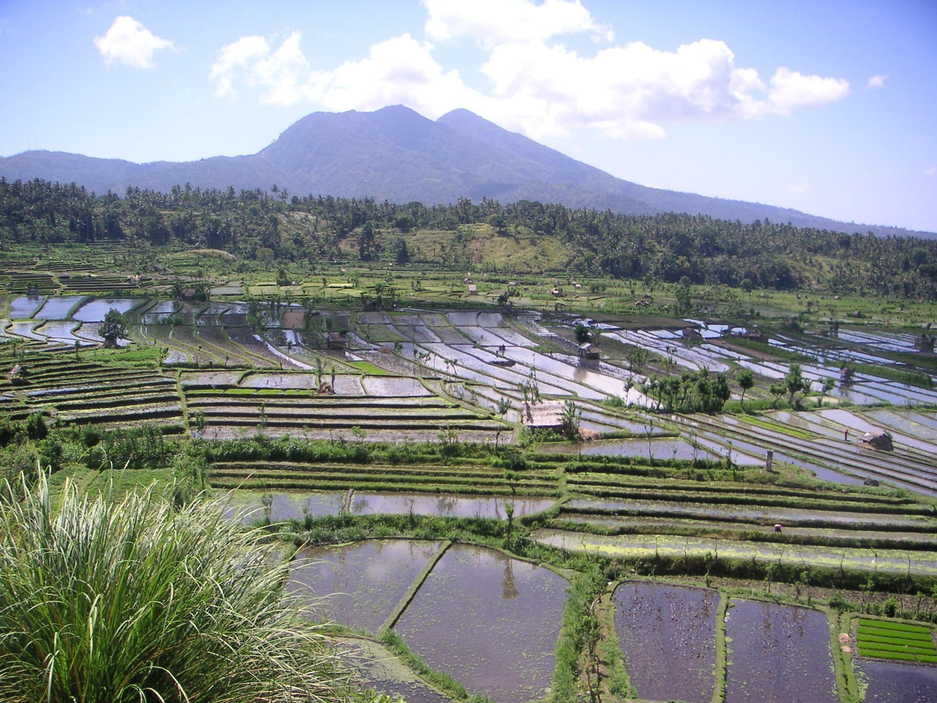 Bali