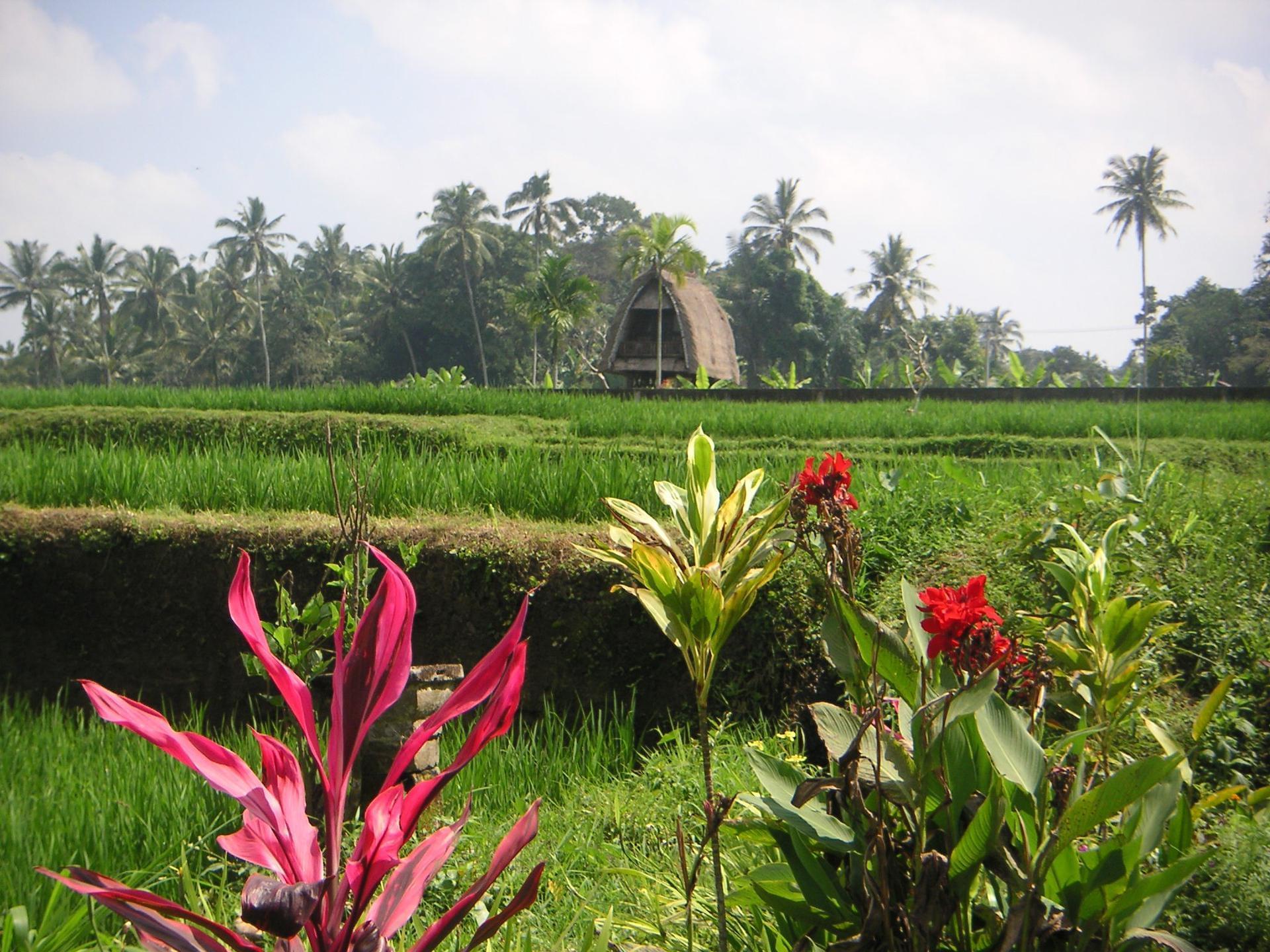 Bali