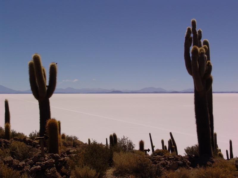 Bolivie