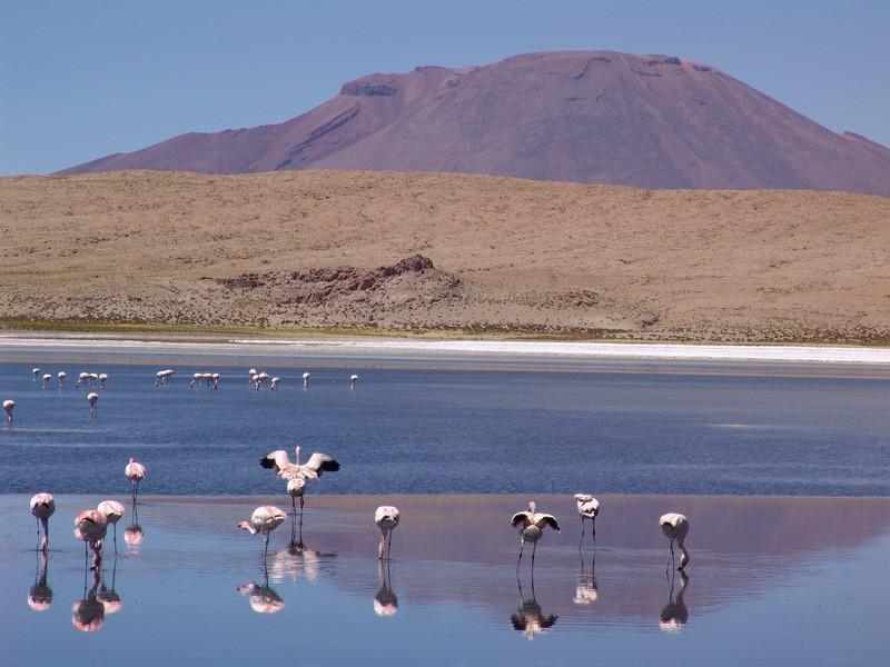 Bolivie