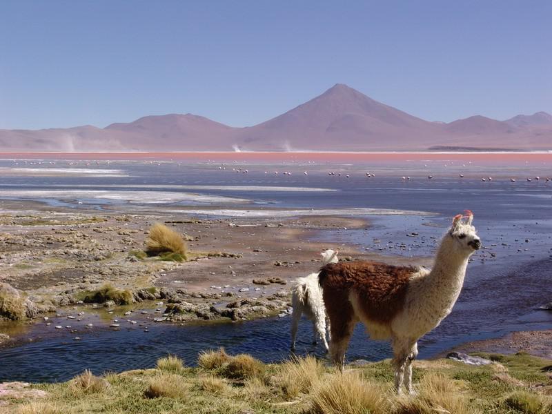 Bolivie