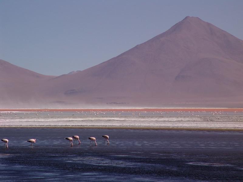 Bolivie